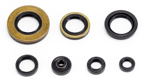 Kit guarnizioni olio motore